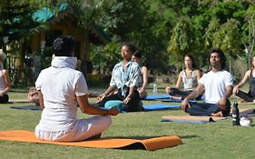 Rishikesh Adiyogi